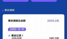 车事故爆料最新信息查询,事故原因及现场细节曝光！